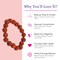 5 Mukhi Rudraksha Bracelet Suitable for Yoga, Meditation 5 Face Nepali Panchmukhi Rudraksh Natural Healing Round Bead Stretchable Elastic Bracelet Daily Fashion Wear Men (8.5 Mm)